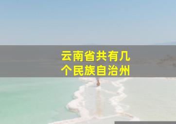 云南省共有几个民族自治州