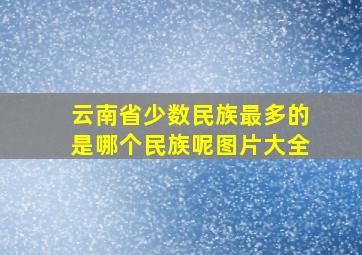 云南省少数民族最多的是哪个民族呢图片大全