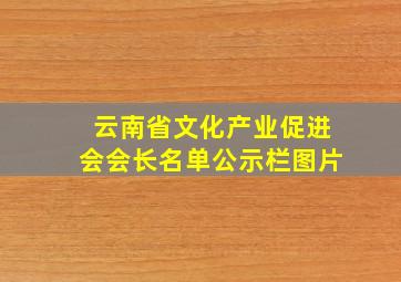 云南省文化产业促进会会长名单公示栏图片