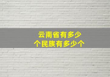 云南省有多少个民族有多少个