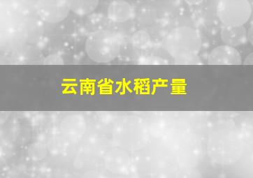 云南省水稻产量