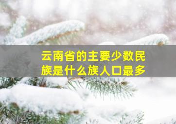 云南省的主要少数民族是什么族人口最多