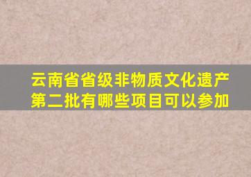 云南省省级非物质文化遗产第二批有哪些项目可以参加