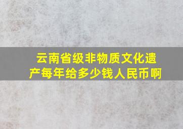 云南省级非物质文化遗产每年给多少钱人民币啊