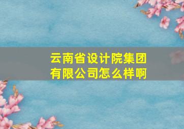 云南省设计院集团有限公司怎么样啊