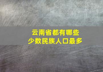 云南省都有哪些少数民族人口最多