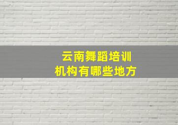 云南舞蹈培训机构有哪些地方