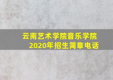 云南艺术学院音乐学院2020年招生简章电话