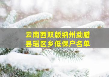 云南西双版纳州勐腊县瑶区乡低保户名单