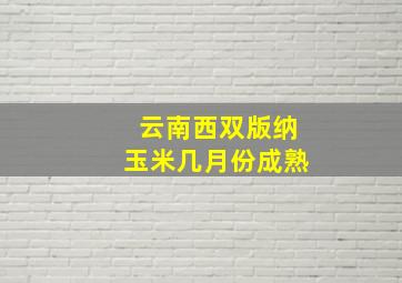 云南西双版纳玉米几月份成熟