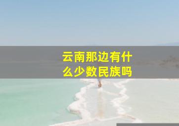 云南那边有什么少数民族吗