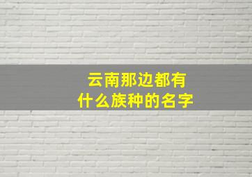 云南那边都有什么族种的名字