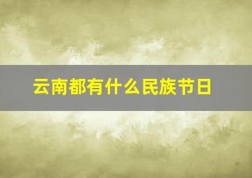 云南都有什么民族节日