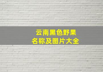 云南黑色野果名称及图片大全