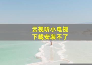 云视听小电视下载安装不了