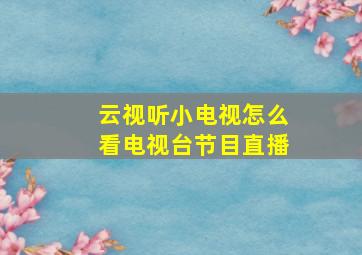 云视听小电视怎么看电视台节目直播