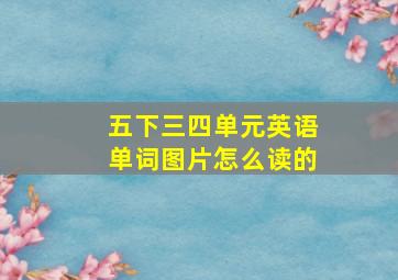 五下三四单元英语单词图片怎么读的