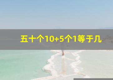 五十个10+5个1等于几