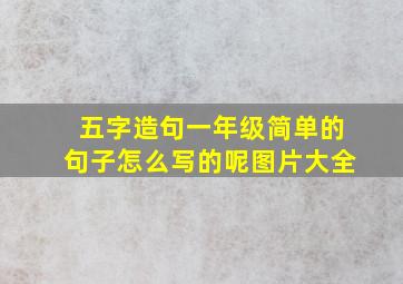 五字造句一年级简单的句子怎么写的呢图片大全