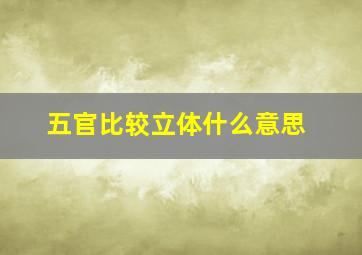 五官比较立体什么意思