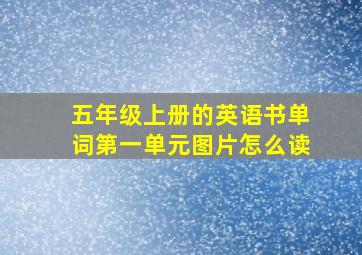 五年级上册的英语书单词第一单元图片怎么读