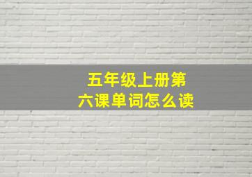 五年级上册第六课单词怎么读