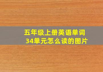 五年级上册英语单词34单元怎么读的图片