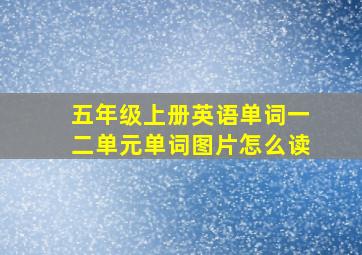 五年级上册英语单词一二单元单词图片怎么读