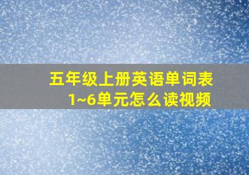 五年级上册英语单词表1~6单元怎么读视频