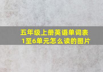 五年级上册英语单词表1至6单元怎么读的图片