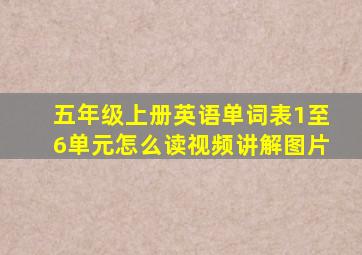 五年级上册英语单词表1至6单元怎么读视频讲解图片