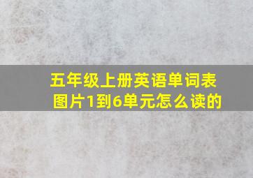 五年级上册英语单词表图片1到6单元怎么读的