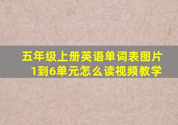 五年级上册英语单词表图片1到6单元怎么读视频教学