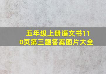 五年级上册语文书110页第三题答案图片大全