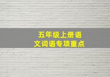 五年级上册语文词语专项重点