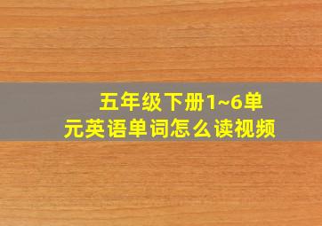 五年级下册1~6单元英语单词怎么读视频