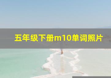 五年级下册m10单词照片