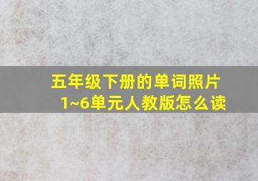 五年级下册的单词照片1~6单元人教版怎么读