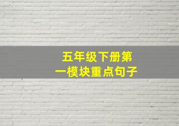 五年级下册第一模块重点句子