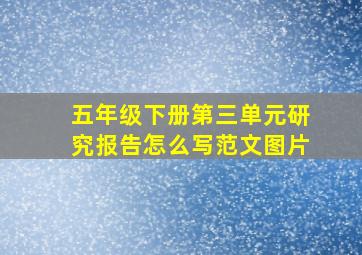 五年级下册第三单元研究报告怎么写范文图片