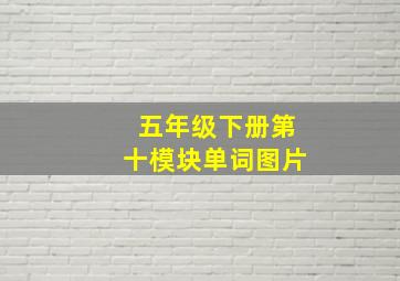 五年级下册第十模块单词图片