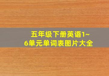 五年级下册英语1~6单元单词表图片大全