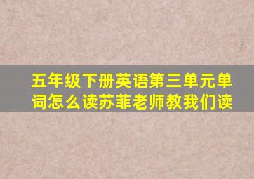 五年级下册英语第三单元单词怎么读苏菲老师教我们读