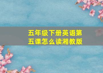 五年级下册英语第五课怎么读湘教版