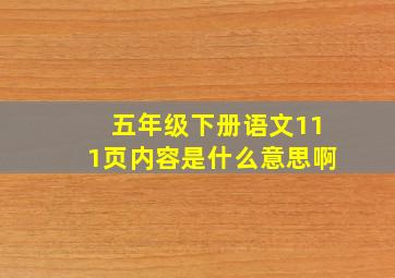 五年级下册语文111页内容是什么意思啊