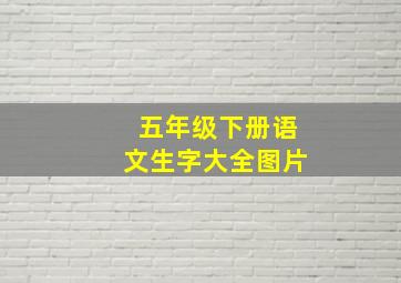 五年级下册语文生字大全图片