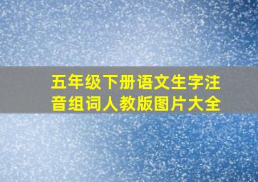 五年级下册语文生字注音组词人教版图片大全