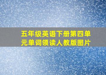 五年级英语下册第四单元单词领读人教版图片