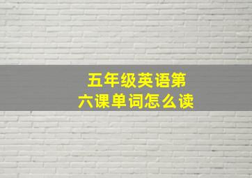 五年级英语第六课单词怎么读