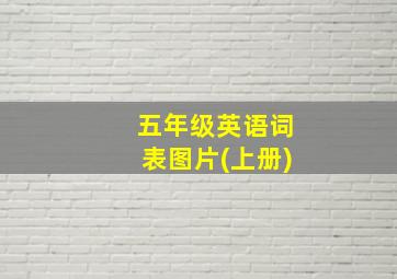 五年级英语词表图片(上册)